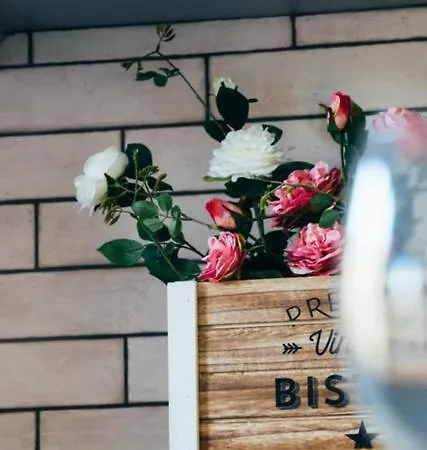 Casa Geranios Lejlighed Alicante